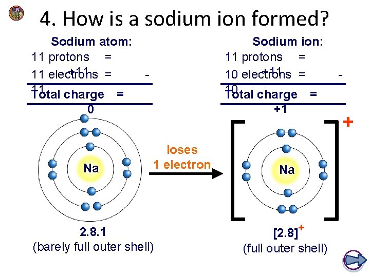 4. How is a sodium ion formed? Sodium atom: 11 protons = +11 = 4. How is a sodium ion formed? Sodium atom: 11 protons = +11 =