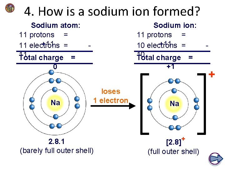 4. How is a sodium ion formed? Sodium atom: 11 protons = +11 =