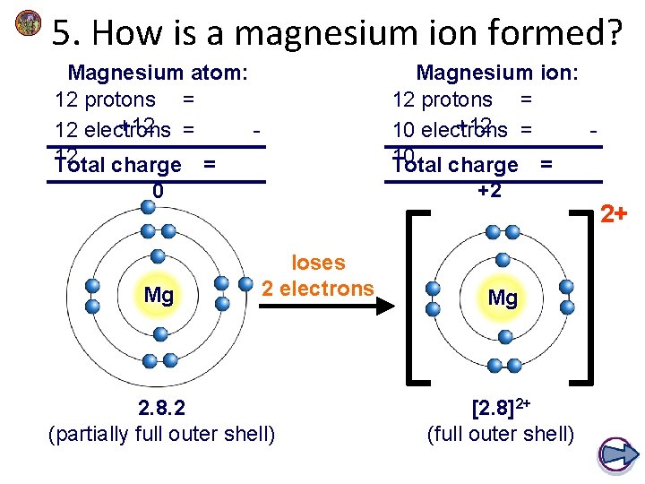 5. How is a magnesium ion formed? Magnesium atom: 12 protons = +12 =