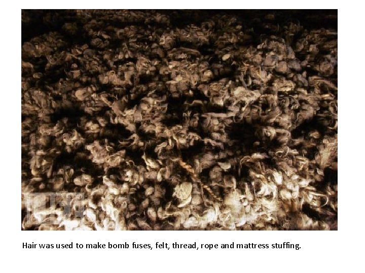 Hair was used to make bomb fuses, felt, thread, rope and mattress stuffing. 