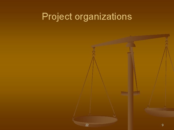 Project organizations 22 9 