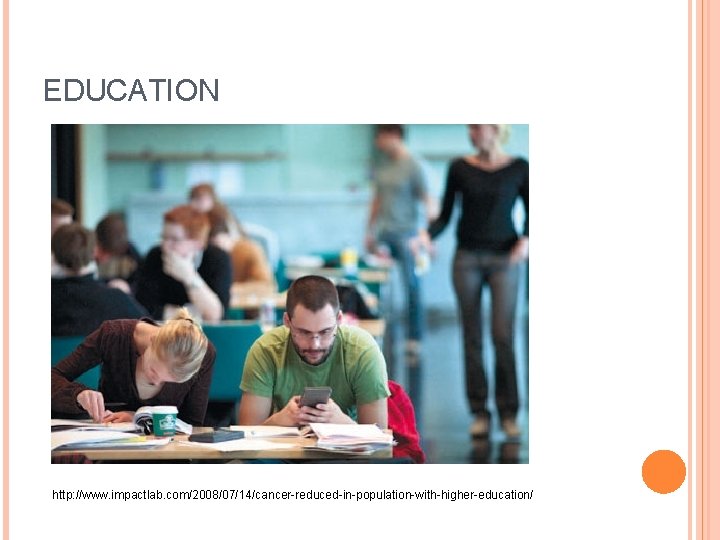 EDUCATION http: //www. impactlab. com/2008/07/14/cancer-reduced-in-population-with-higher-education/ 