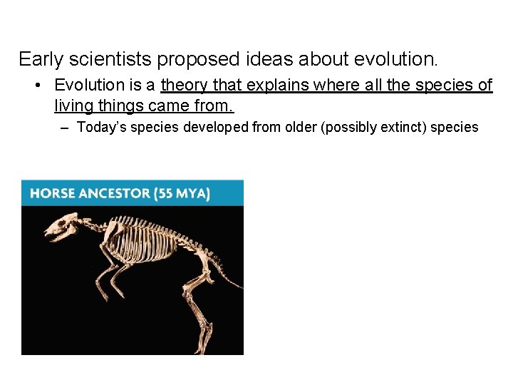 Early scientists proposed ideas about evolution. • Evolution is a theory that explains where