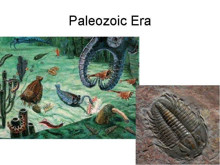 Paleozoic Era 