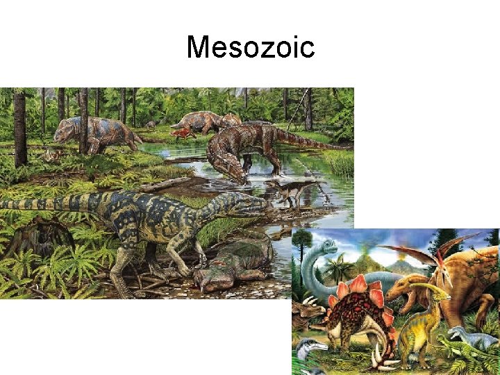Mesozoic 
