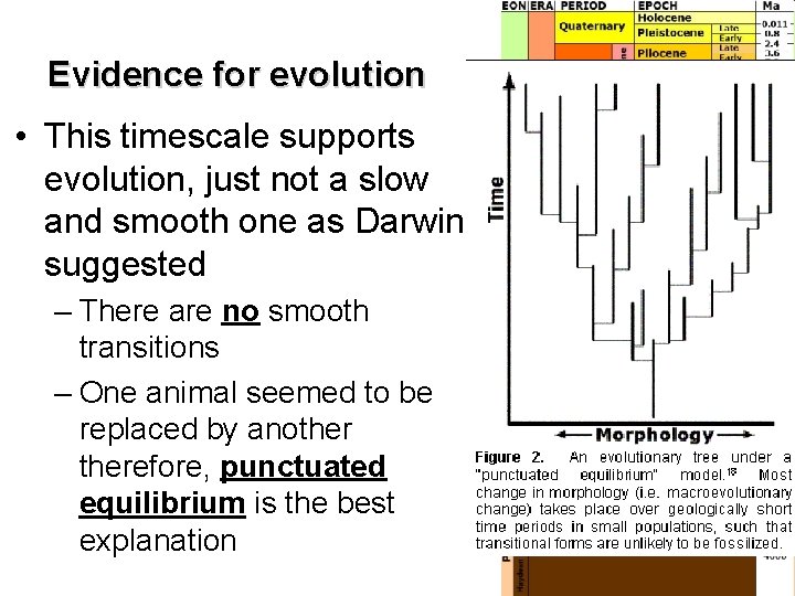 Evidence for evolution • This timescale supports evolution, just not a slow and smooth