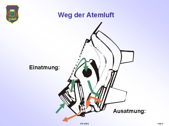 Weg der Atemluft Einatmung: Ausatmung: NÖ LFWS Folie 4 