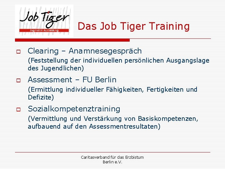 Das Job Tiger Training o Clearing – Anamnesegespräch (Feststellung der individuellen persönlichen Ausgangslage des