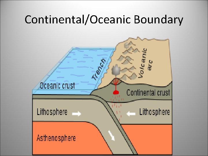 Continental/Oceanic Boundary 