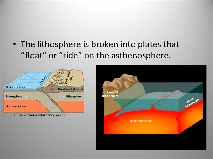  • The lithosphere is broken into plates that “float” or “ride” on the