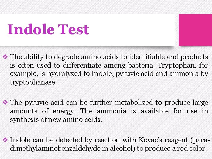 Indole Test v The ability to degrade amino acids to identifiable end products is