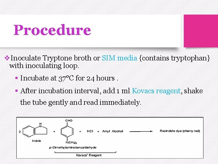 Procedure v. Inoculate Tryptone broth or SIM media {contains tryptophan} with inoculating loop. §