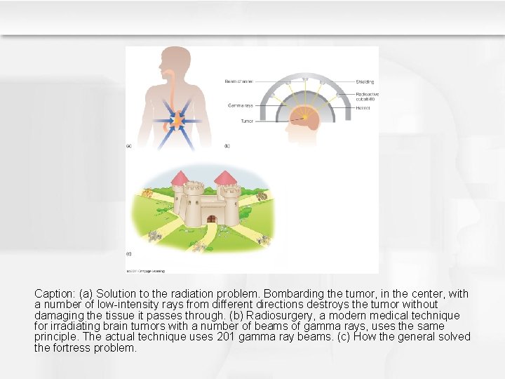 Caption: (a) Solution to the radiation problem. Bombarding the tumor, in the center, with