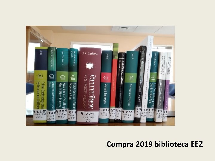 Compra 2019 biblioteca EEZ 