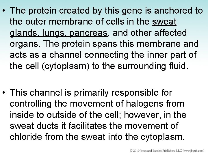  • The protein created by this gene is anchored to the outer membrane