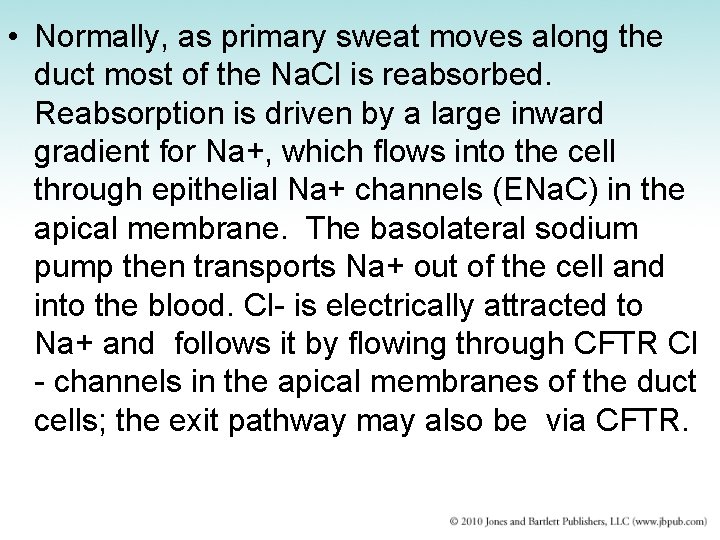  • Normally, as primary sweat moves along the duct most of the Na.