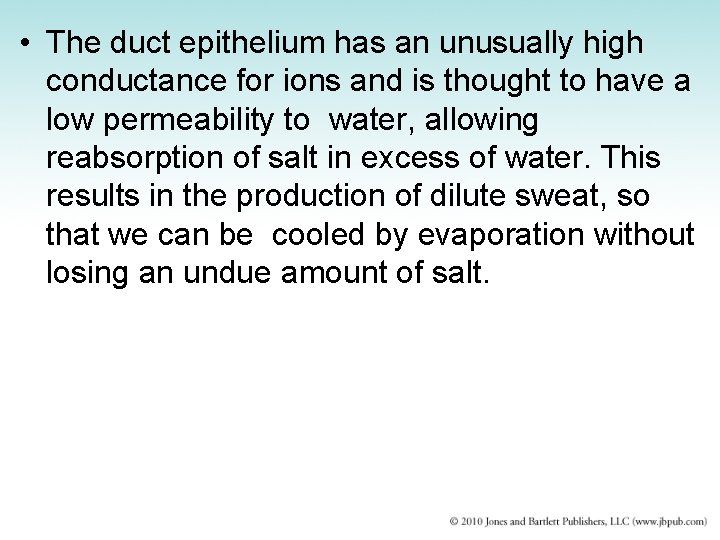  • The duct epithelium has an unusually high conductance for ions and is