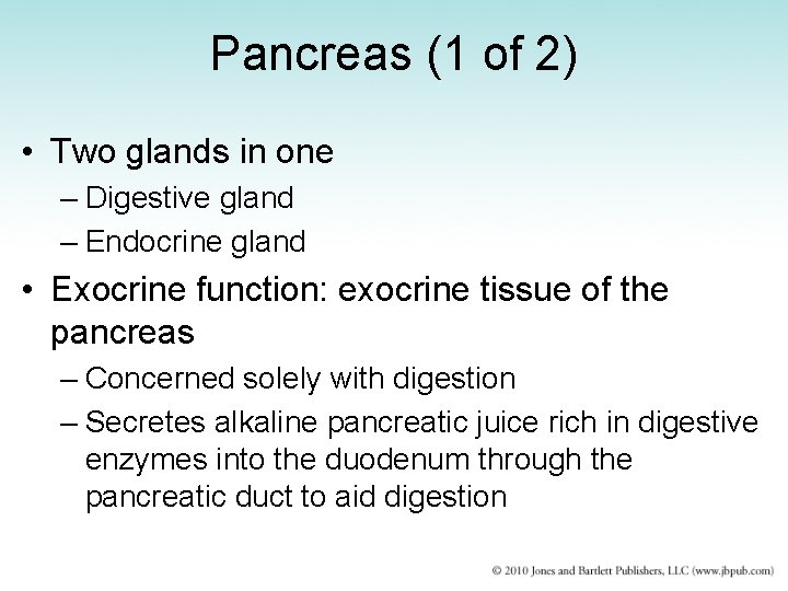 Pancreas (1 of 2) • Two glands in one – Digestive gland – Endocrine