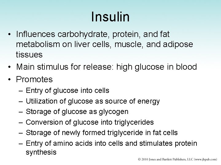 Insulin • Influences carbohydrate, protein, and fat metabolism on liver cells, muscle, and adipose