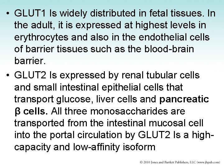  • GLUT 1 Is widely distributed in fetal tissues. In the adult, it