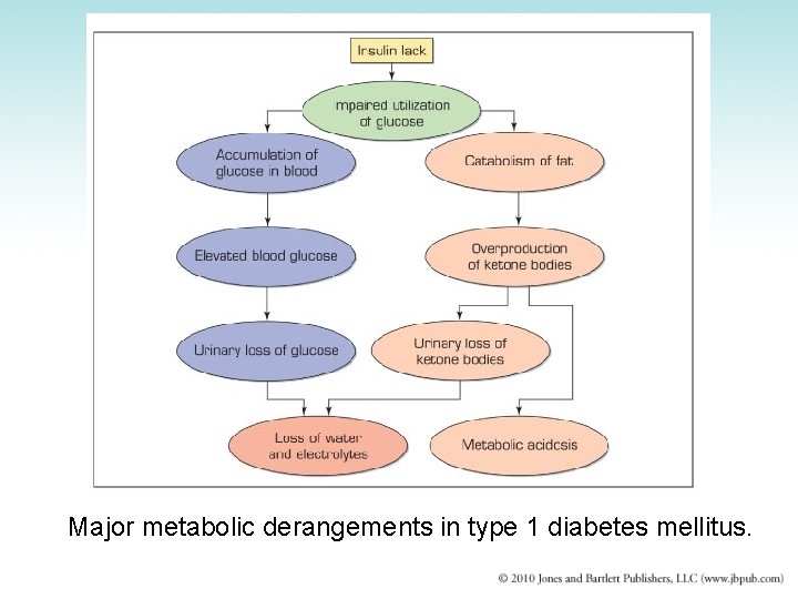 Major metabolic derangements in type 1 diabetes mellitus. 