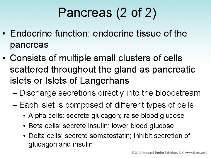 Pancreas (2 of 2) • Endocrine function: endocrine tissue of the pancreas • Consists