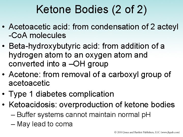 Ketone Bodies (2 of 2) • Acetoacetic acid: from condensation of 2 acteyl -Co.