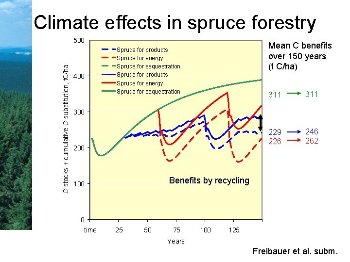 Climate effects in spruce forestry C stocks + cumulative C substitution, t. C/ha 500