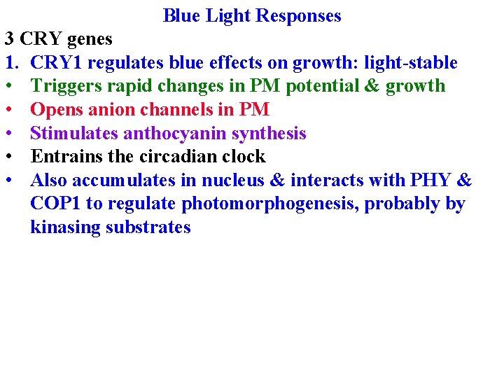 Blue Light Responses 3 CRY genes 1. CRY 1 regulates blue effects on growth: