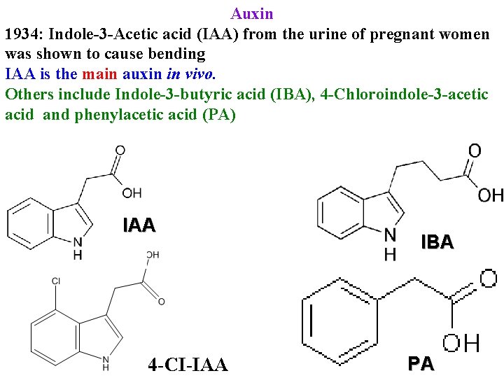 Auxin 1934: Indole-3 -Acetic acid (IAA) from the urine of pregnant women was shown