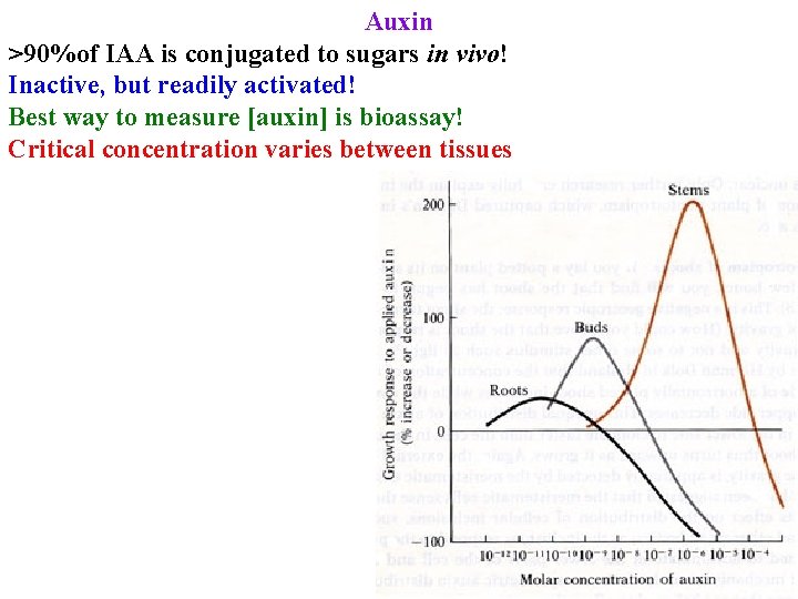 Auxin >90%of IAA is conjugated to sugars in vivo! Inactive, but readily activated! Best