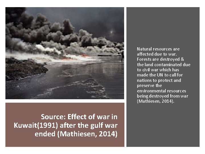 Natural resources are affected due to war. Forests are destroyed & the land contaminated