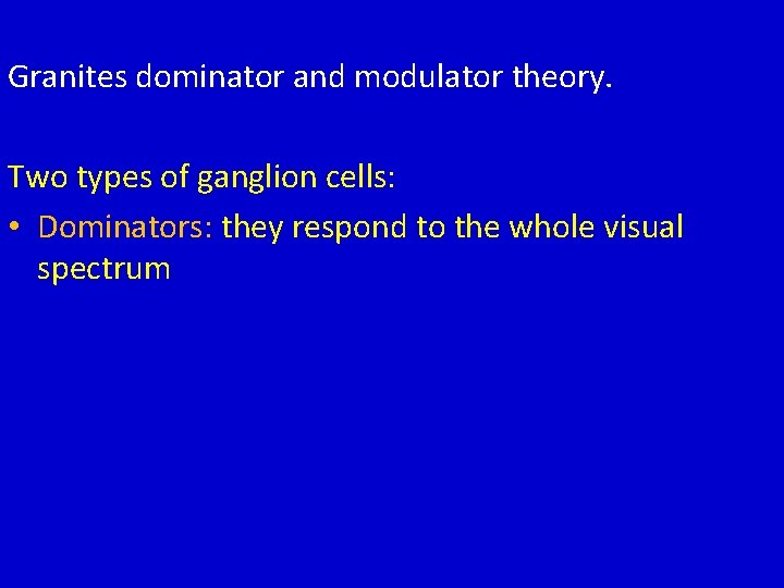 Granites dominator and modulator theory. Two types of ganglion cells: • Dominators: they respond