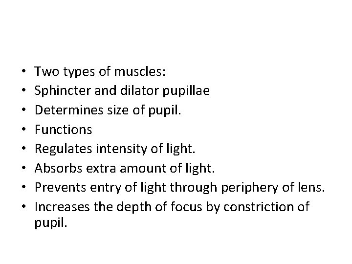  • • Two types of muscles: Sphincter and dilator pupillae Determines size of