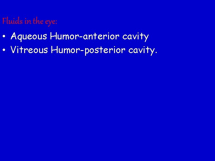 Fluids in the eye: • Aqueous Humor-anterior cavity • Vitreous Humor-posterior cavity. 