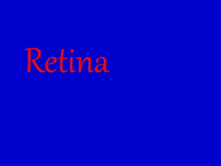 Retina 