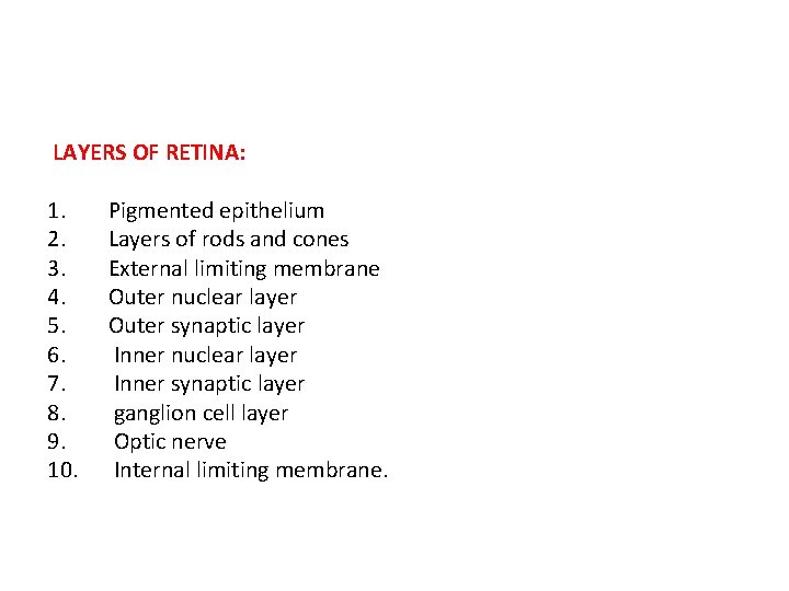 LAYERS OF RETINA: 1. 2. 3. 4. 5. 6. 7. 8. 9. 10. Pigmented
