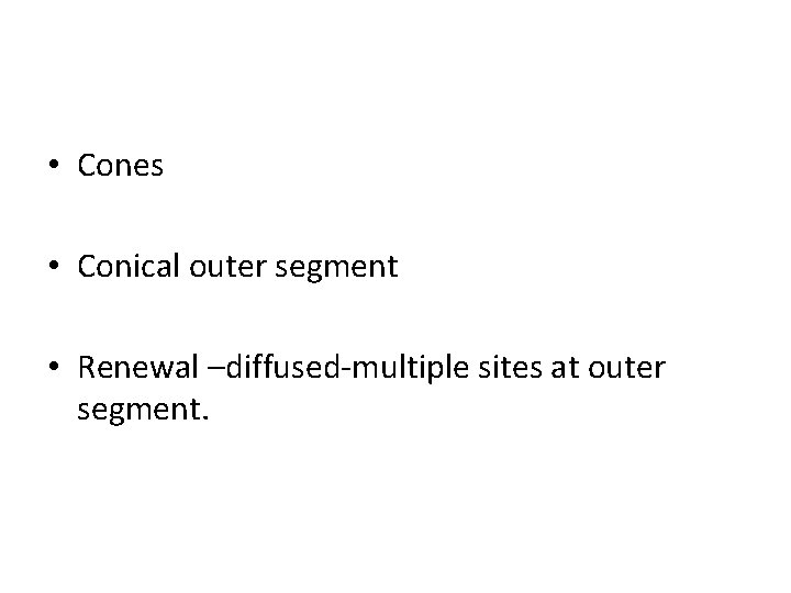 • Cones • Conical outer segment • Renewal –diffused-multiple sites at outer segment.