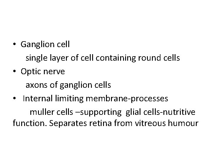  • Ganglion cell single layer of cell containing round cells • Optic nerve