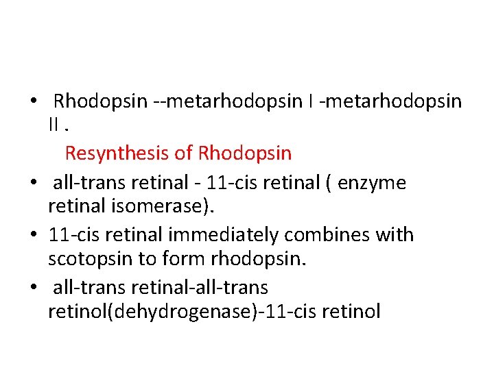  • Rhodopsin --metarhodopsin II. Resynthesis of Rhodopsin • all-trans retinal - 11 -cis