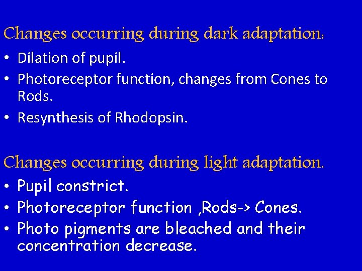 Changes occurring during dark adaptation: • Dilation of pupil. • Photoreceptor function, changes from