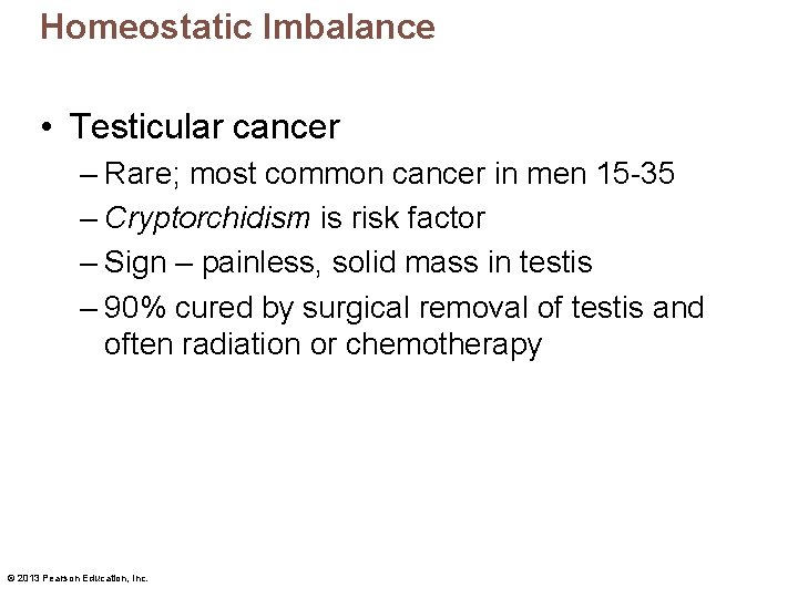 Homeostatic Imbalance • Testicular cancer – Rare; most common cancer in men 15 -35