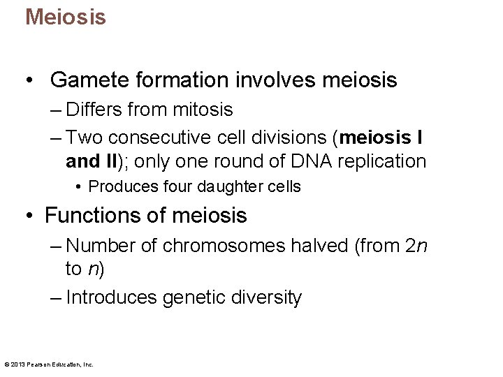 Meiosis • Gamete formation involves meiosis – Differs from mitosis – Two consecutive cell