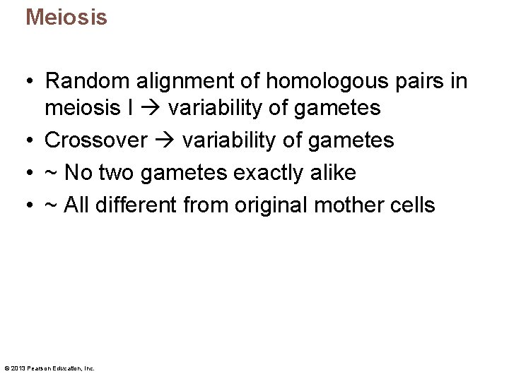 Meiosis • Random alignment of homologous pairs in meiosis I variability of gametes •