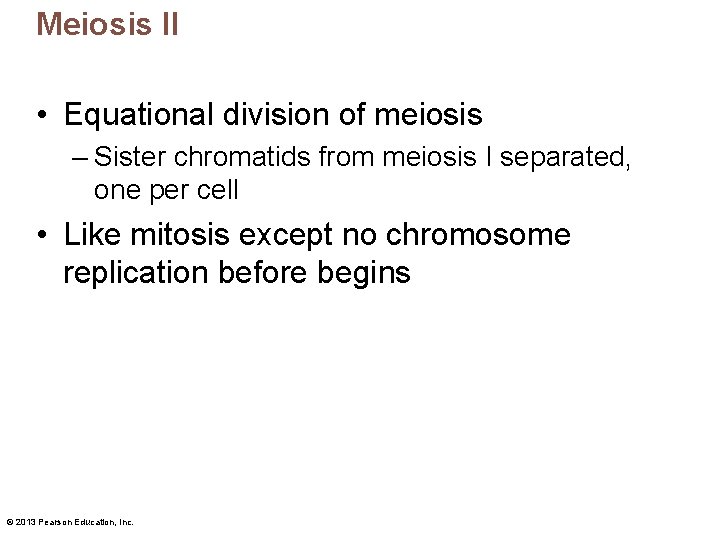 Meiosis II • Equational division of meiosis – Sister chromatids from meiosis I separated,