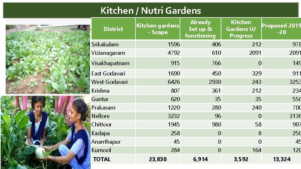 Kitchen / Nutri Gardens District Kitchen gardens - Scope Already Set up & functioning