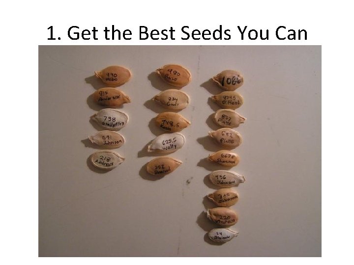 1. Get the Best Seeds You Can 