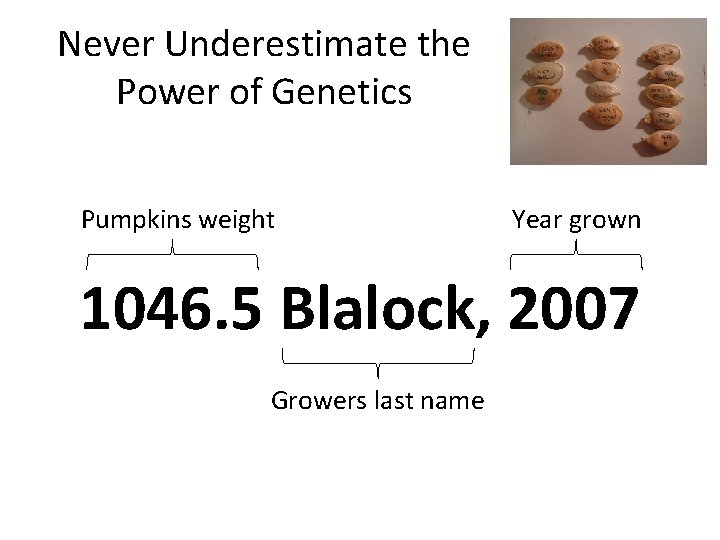 Never Underestimate the Power of Genetics Pumpkins weight Year grown 1046. 5 Blalock, 2007