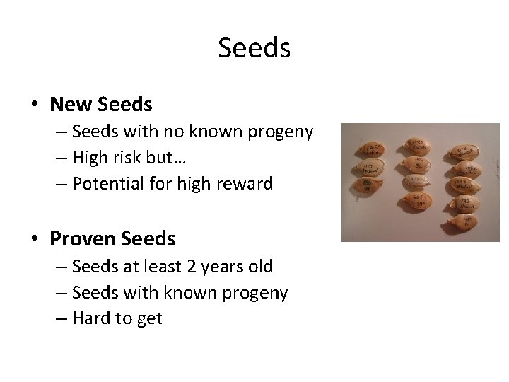 Seeds • New Seeds – Seeds with no known progeny – High risk but…