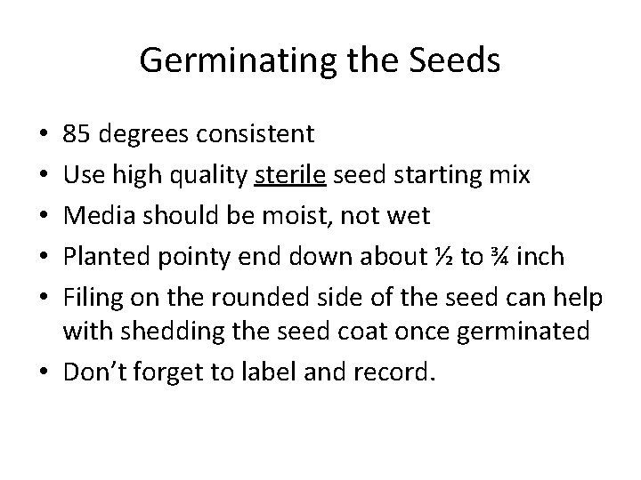 Germinating the Seeds 85 degrees consistent Use high quality sterile seed starting mix Media